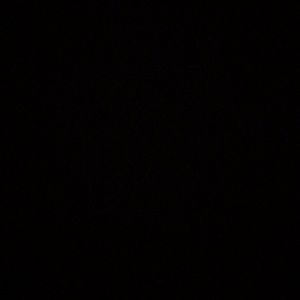 Meet your Posher, Shemele